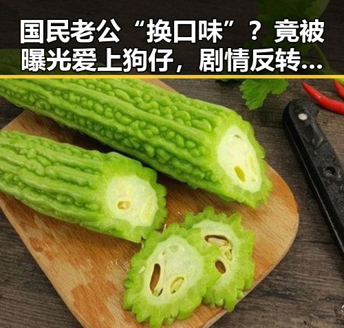 国民老公“换口味”？竟被曝光爱上狗仔，剧情反转令人震惊！