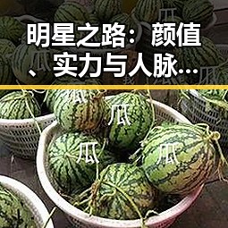 吃瓜视频