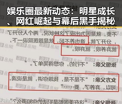 娱乐圈最新动态：明星成长、网红崛起与幕后黑手揭秘
