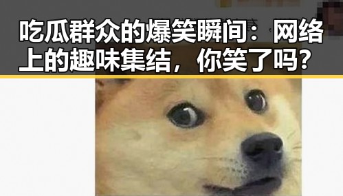 吃瓜群众的爆笑瞬间：网络上的趣味集结，你笑了吗？
